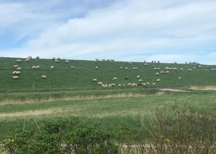 E3 Haus Mit Wintergarten- Kamin Und Deichblick By Interhome * Grosswurden