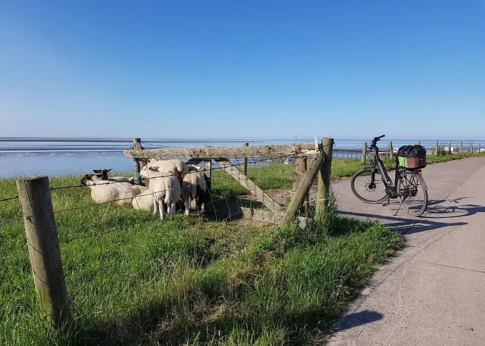 E3 Haus Mit Wintergarten- Kamin Und Deichblick By Interhome Grosswurden
